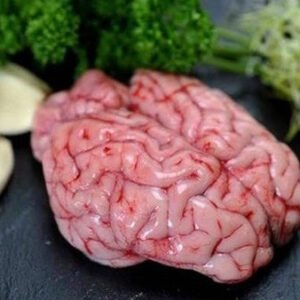 MUTTON BRAIN