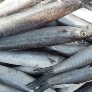 Ooli Fish